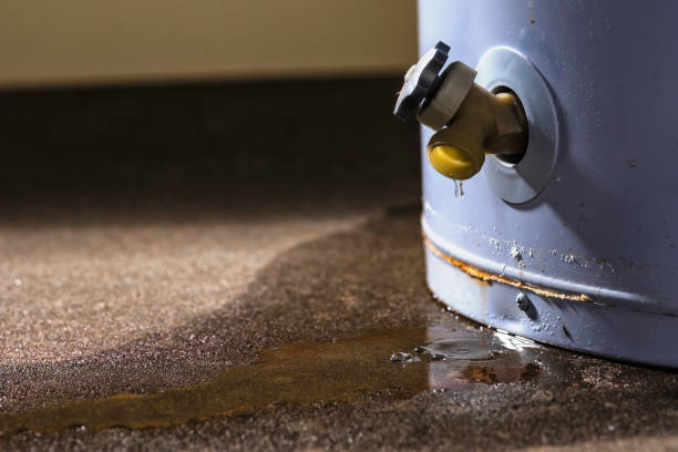 Best Water damage restoration experts  in Woodville, AL