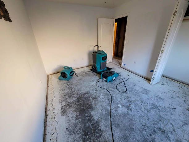 Best Water damage cleanup near me  in Woodville, AL