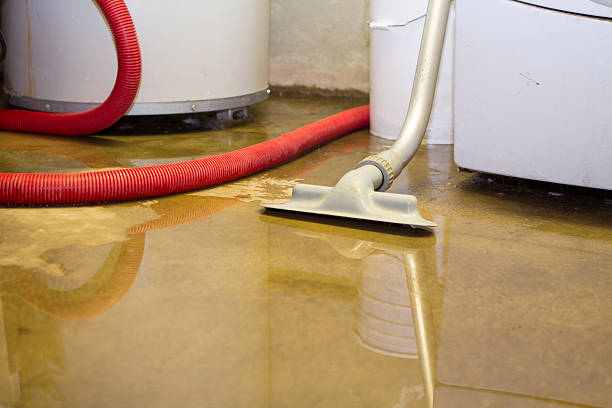  Woodville, AL Water damage restoration Pros
