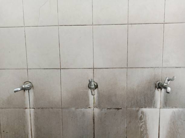 Reliable Woodville, AL Water damage restoration Solutions