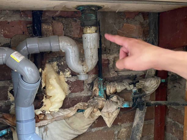 Best Water damage restoration cost  in Woodville, AL
