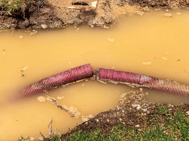 Best Water damage contractors near me  in Woodville, AL