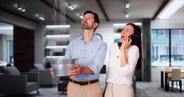 Best Water damage restoration services  in Woodville, AL
